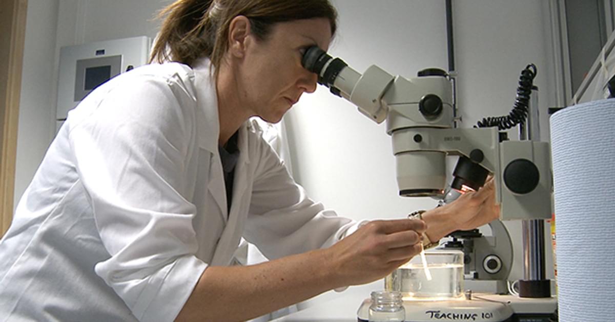 studying microplastics - microscopic particles