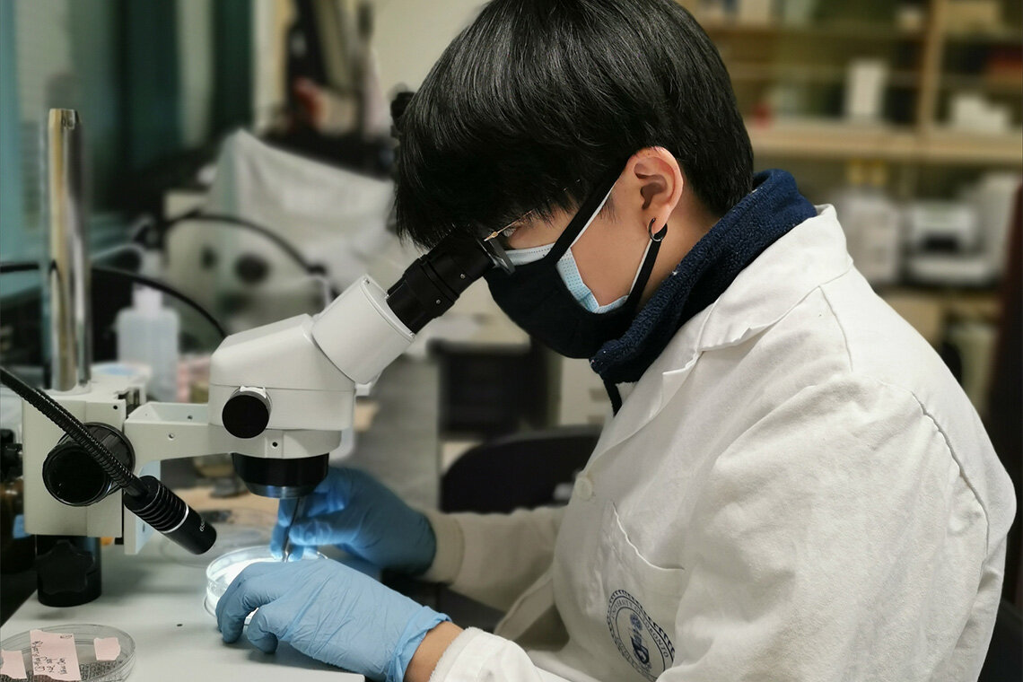 Laboratory analysis of microplastics