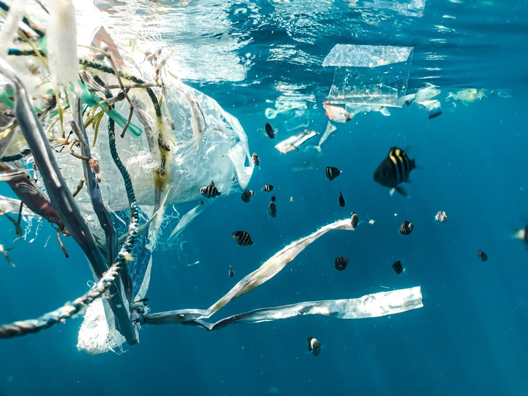Underwater plastic pollution affecting marine life