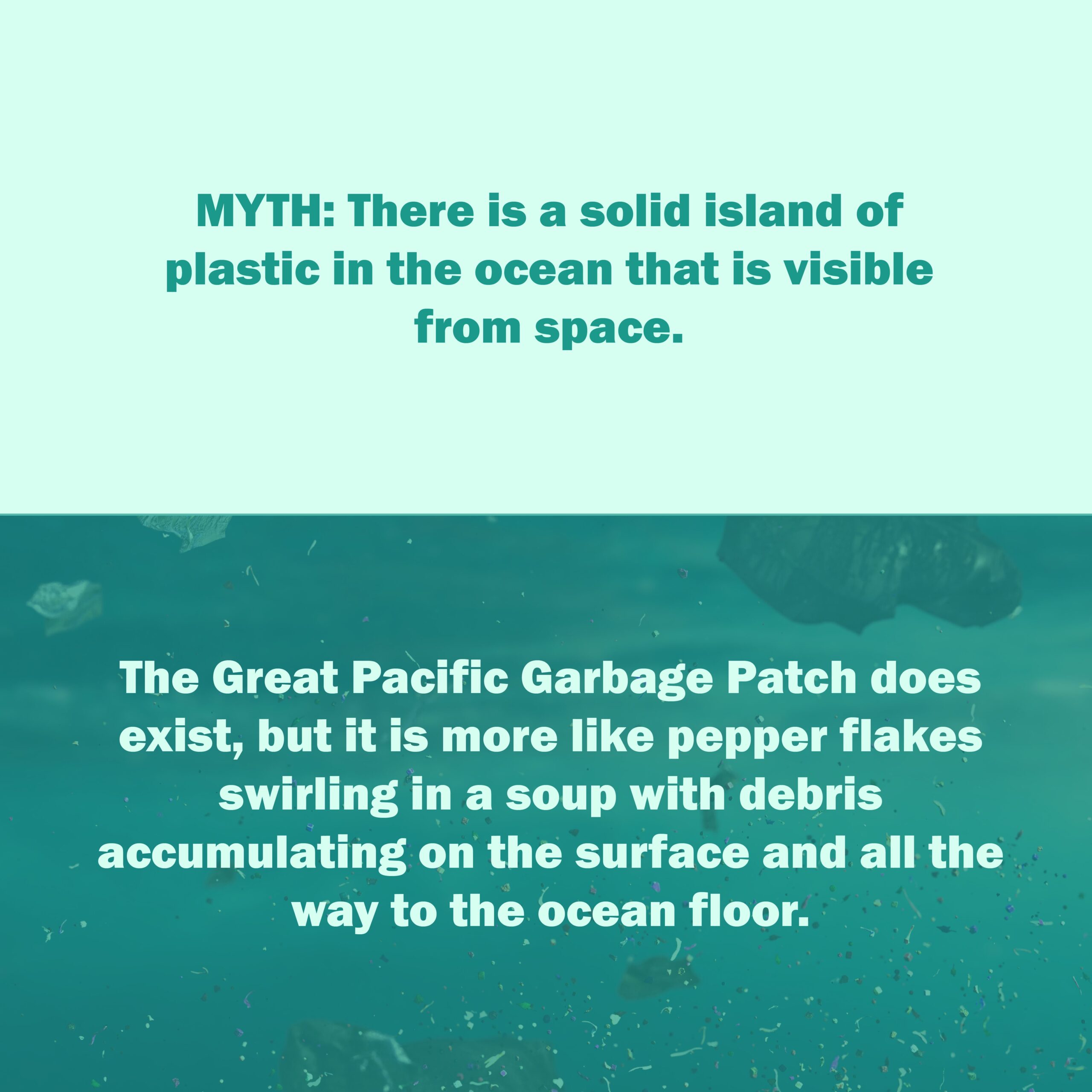 Plastic pollution myths infographic